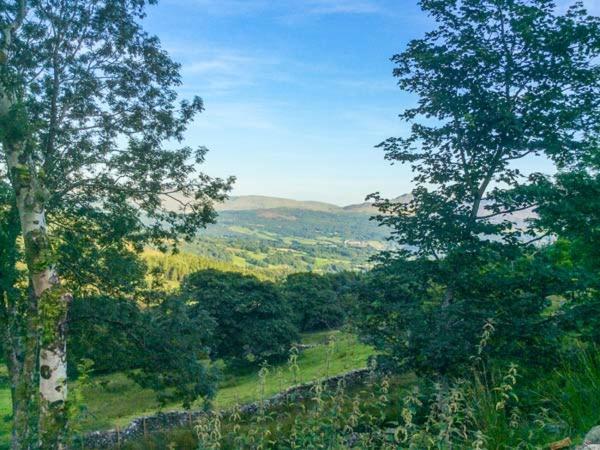 Tyn Llwyn Βίλα Dolgellau Εξωτερικό φωτογραφία